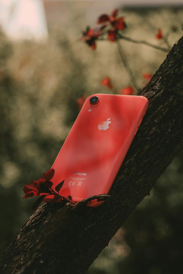 IPhone à prix réduit : explorez notre sélection variée!